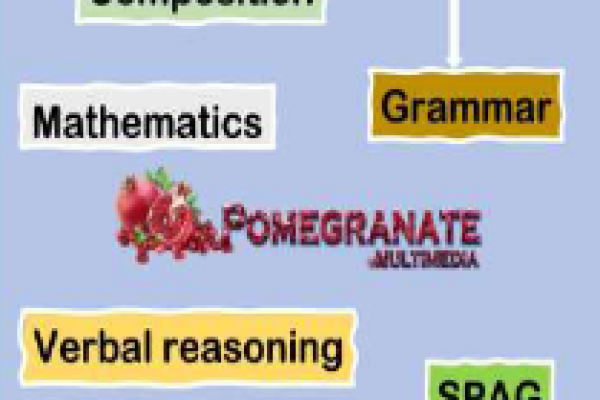 Screenshot 2024-11-20 at 17-37-07 POMEGRANATE 11 PLUS AND SATS WEBSITE.pdf